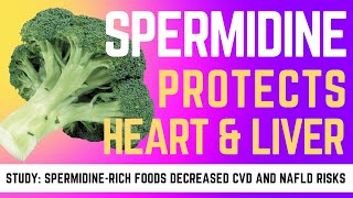 Spermidine boosts autophagy and protects heart amp liver [upl. by Apostles]