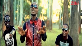 Nalema by D2 ft BFlow amp B1 Official Music Video [upl. by Anaoy]