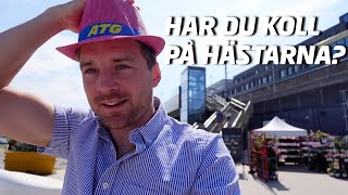 Travhästar och tester  en vecka i maj med Jesper Nelin [upl. by Blanding253]