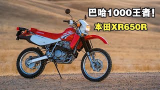 巴哈1000王者《本田XR650R》時隔多年！保值率和認可度依然變態！ 【小磊有料】 [upl. by Sadoff759]