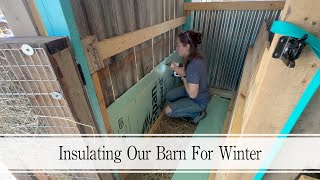 Insulating The Barn For Winter [upl. by Legge]