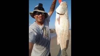 Virginia Beach Surf Fishing July 2016 [upl. by Drahnreb673]