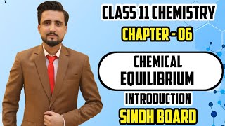 Chemical Equilibrium Class 11 Chemistry  Chapter 7 Introduction  Sindh Board [upl. by Garrick853]