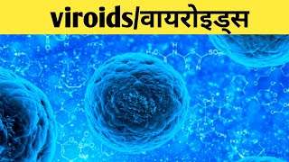 viroids in hindi viroids disease structure of viroidsviroids potato disease [upl. by Nairb]