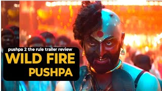 Pushpa 2 The Rule Trailer  Review [upl. by Lletnahc43]