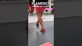 FLAMENCO ❤️ escobilla por Guajira 🔥 Training La Cati flamenco dance dancer short shortvideo [upl. by Yasdnyl]