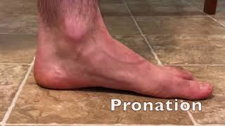 Foot Pronation and Supination [upl. by Ientirb274]