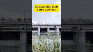 NTR Jalasayam The Incredible Dam Gates Opening Experience [upl. by Nyleahcim]