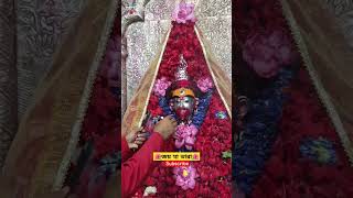 mohapithtarapith jaymaataratara maatara shortsvideo sorts maatwanghitara [upl. by Settle]