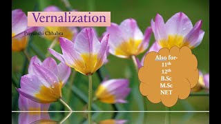 Vernalization  Plant Physiology  Botany [upl. by Meit]