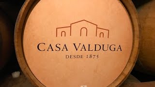 VISITA A CASA VALDUGA [upl. by Chick382]