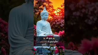 नमो Buddha। Great thinker imdinesh9 motivation shorts viralvideo youtubeshorts [upl. by Pilihp738]