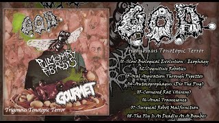 Grotesque Organ Defilement Trigonous Tonotopic Terror Split CD With Pulmonary FibrosisGourmet [upl. by Gurtner]