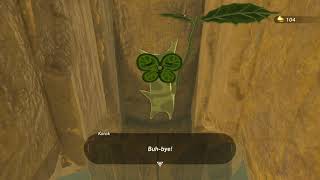 Korok seeds  East Gerudo Ruins  Wastland Tower 40  Zelda BOTW [upl. by Ahsirk393]