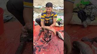 Blood Carp Fish Cutting By Expert Fish Cutter shortvideo shorts [upl. by Htiekal]