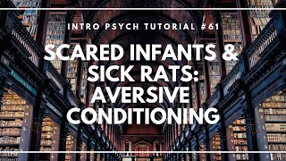 Scared Infants and Sick Rats Aversive Conditioning Intro Psych Tutorial 61 [upl. by Adnoyek]