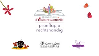 d’Histoire Naturelle  Deel 0  Proeflapje RECHTSHANDIG  Scheepjes CAL 2020 [upl. by Sebastiano]