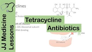 Tetracycline Antibiotics [upl. by Nerag]