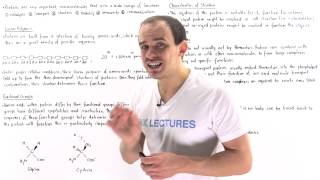 Introduction to Proteins [upl. by Elyr]