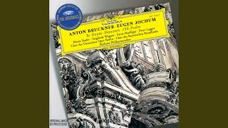 Bruckner Ecce Sacerdos Magnus Motet  WAB 13 [upl. by Eimaj]