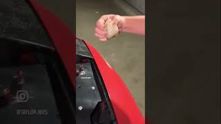 Teaching the frog about cars automobile carcommunity car cars carculture carguys [upl. by Hanad]