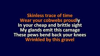 The Mars Volta  Vermicide  Karaoke Instrumental Lyrics  ObsKure [upl. by Eibor]