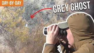 SO MANY DEER  2023 Coues Deer Hunt DaybyDay Ep1 [upl. by Eladroc]