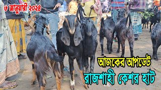 06012024 রাজশাহী কেশর হাট থেকে উন্নত জাতের ক্রষ ছাগলের দাম জানুন। Goat Market Price [upl. by Reisinger]