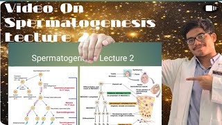 Spermatogenesis Lecture  Stages of Spermatogenesis [upl. by Proudfoot599]