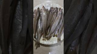 Lady fish curry recipe  rarely available tasty fish curry  kaane fish  kandki meen in kannada [upl. by Lyris]