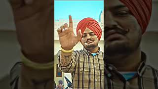 Sidhu paji always legend punjabi punjabisong 295edits sidhumoosewala shorts explore [upl. by Anelrihs]