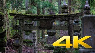 Okunoin Cemetery Part II  Wakayama  奥の院  4K Ultra HD [upl. by Adnicaj]