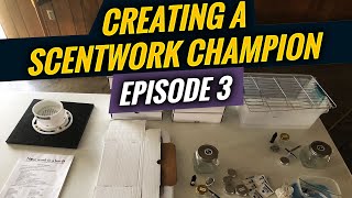 Getting Started in Scentwork  Creating a Scentwork Champion Episode 3 [upl. by Suzan]