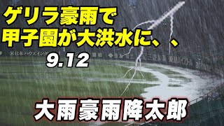 【甲子園が東南アジアみたいなゲリラ豪雨で雷も凄い事に試合も中止に】阪神対横浜 [upl. by Odareg]