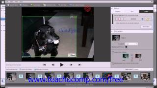 Photoshop Elements 12 Tutorial Creating a Slide Show Adobe Training Lesson 163 [upl. by Aicyla]