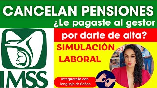 4 Ley 73 Cancelan Pensiones por Simulación Laboral IMSS [upl. by Llerret]