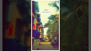 Pimpri Chinchwad pune 💗🌴📍viralvideo pune punekar maharashtra india live motivation love [upl. by Austen432]