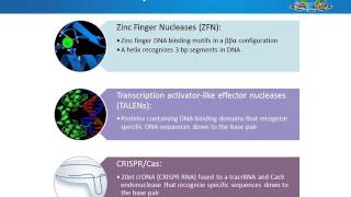 CRISPR edited mammalian cell linesadvantages applications and tips [upl. by Waylen]