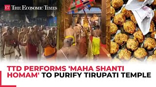 Tirupati Prasadam row TTD along with priests perform a Maha Shanti Homam to purify the Temple [upl. by Sairu]