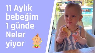 11 Aylık Bebeğim 1 günde neler yiyor [upl. by Rennane]