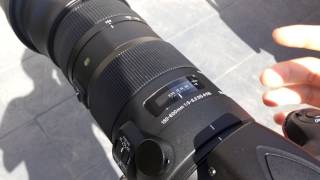 Sigma 150600mm Sports Lens 150mm Focus Speed Test [upl. by Annabella]