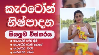 Carotone Cream Pack Full Review Sinhala  Cream Body Loation Soap Serum Brigtning Oil  කැරටෝන් [upl. by Cordey]