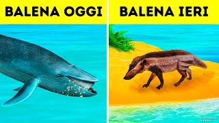 Perché Le Balene Sono Diventate Gli Animali Più Grandi Di Sempre [upl. by Arno]