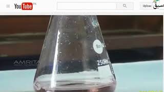 10 Practical Determine the Solubility of Mohr’s Salt 11th12th [upl. by Kaczer918]