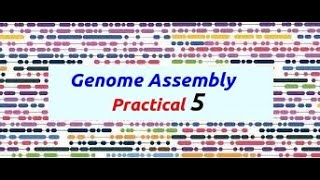 Genome Assembly Practical Part 5 [upl. by Nwahsyar]