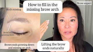 How to fill in the missing brow arch [upl. by Havot571]