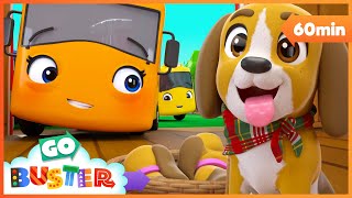 Buster Saves the Puppy  Go Buster  Bus Cartoons amp Kids Stories [upl. by Nnainot788]