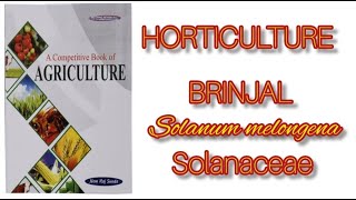 BRINJAL  Solanum melongena  HORTICULTURENEMRAJ SUNDA  LECTURE MONDAYEnjoy amp Learn with Shalvi [upl. by Elladine]