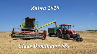 Claas Dominator 68s  odc19  Żniwa 2020 [upl. by Herold295]