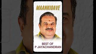 Maankidave – P Jayachandrans Classic Hit  Evergreen Ilayaraja Melody from Dhooram Arike reels [upl. by Braynard]